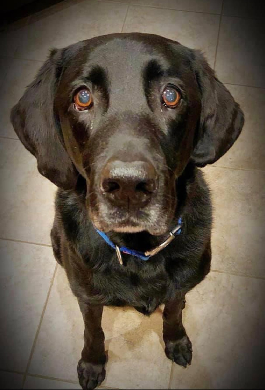 In Memory of&nbsp;Hudson